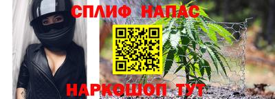 СК Краснознаменск