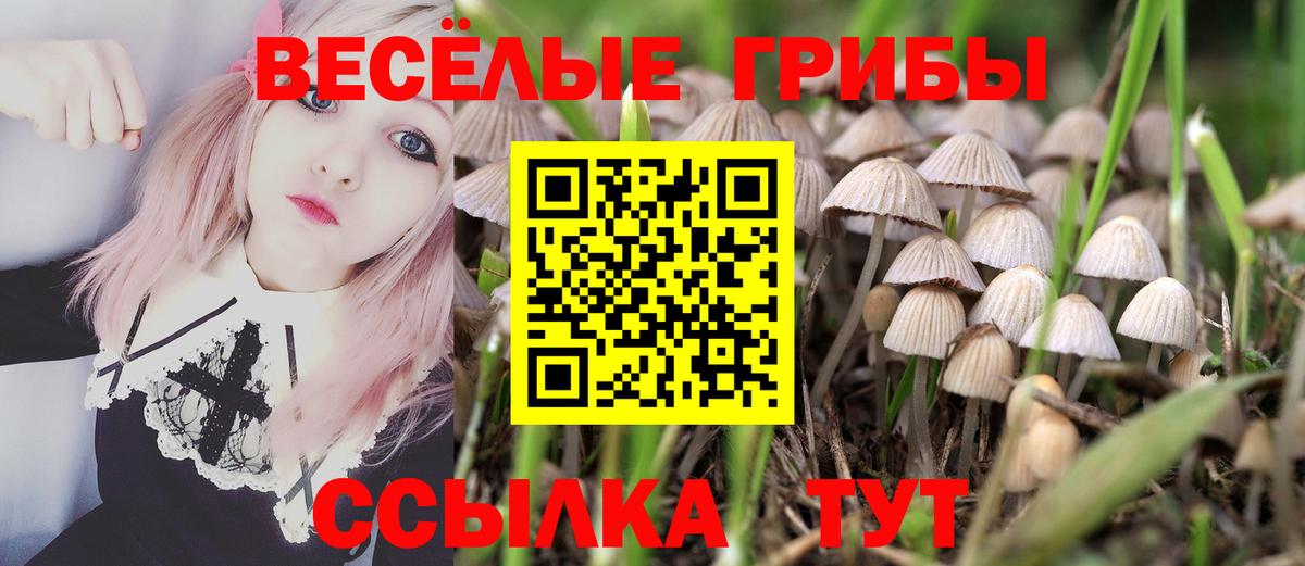 Псилоцибиновые грибы мухоморы  Галлюциногенные грибы Cubensis  Азов  Вход с VPN 